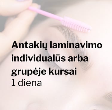 Antakių laminavimo invidualūs arba grupėje kursai