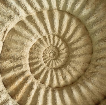 Focusing attention inwards