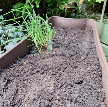 the final garden with no weeds