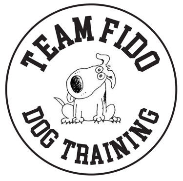 Team Fido logo