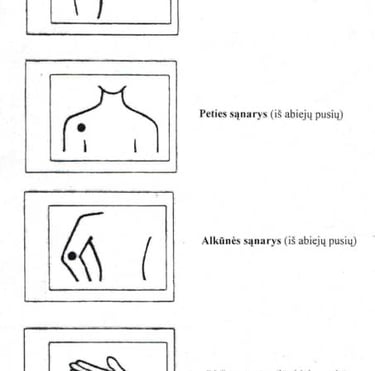 gydymo lazeriu zonos