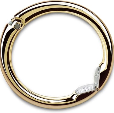 a gold colored ring with a silver clasp