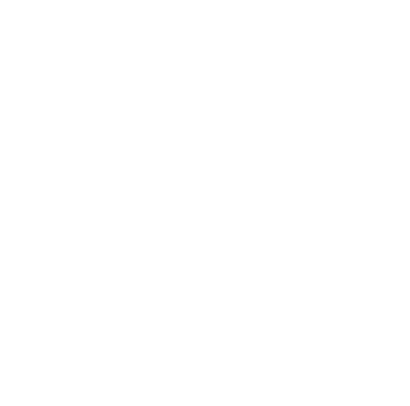 a house with a house shaped like a house