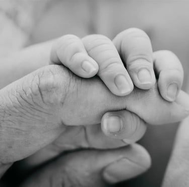 Photographe naissance - Papa Ours Photo