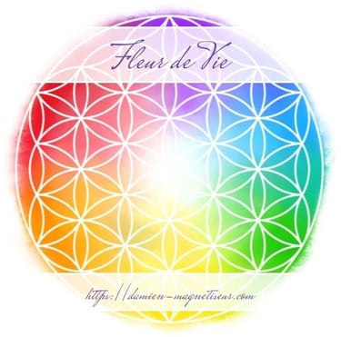 La fleur de Vie