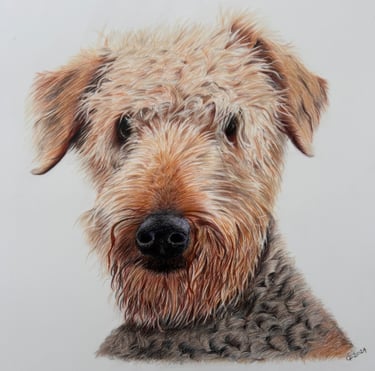 Photo of airedale terrier