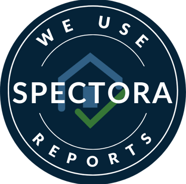 Check out what Spectora is and how it works!