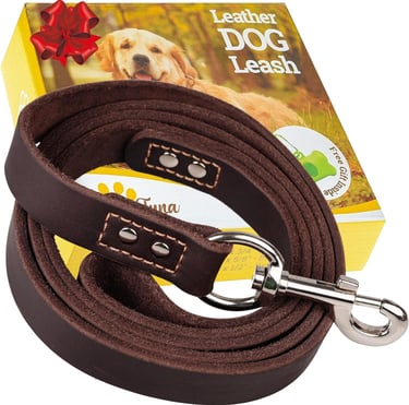 ADITYNA Leather Dog Leash 6ft - Dog Training Leash for Small, Medium, Large, and Extra-Large Dogs