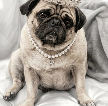 Collares Joyería (El Capo)