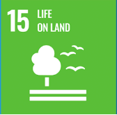 SDG_15