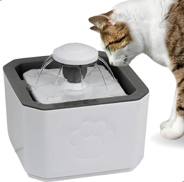 bebedouro pet