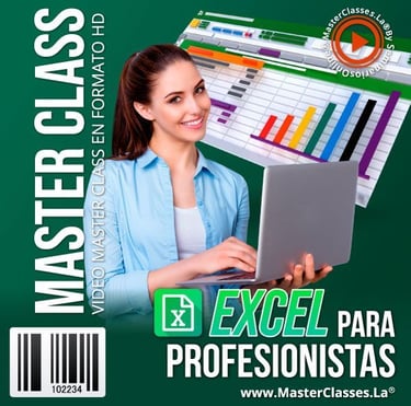 Curso de Excel para Profesionistas 