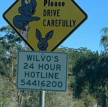 Swift drive wildlife sign