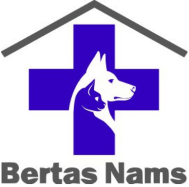Bertas Nams logotipas