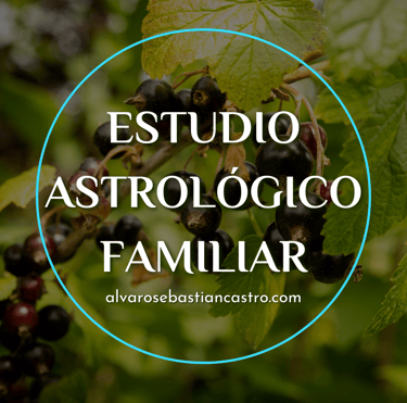 mapa familiar astrológico por álvaro sebastián castro 