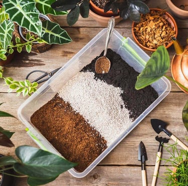 essential soil ingredients for indoor plants including perlite coco coir orchid bark and pumice 