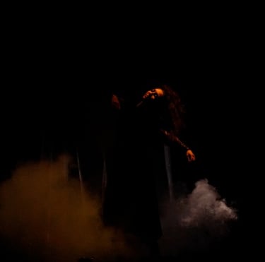 Spectacle - MATA HARI TITRE PROVISOIRE - @DR - Comapagnie Le Roi Des Fous - ARTEPHILE AVIGNON OFF 2026