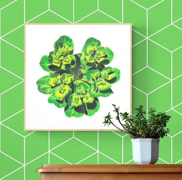 Green flower print framed