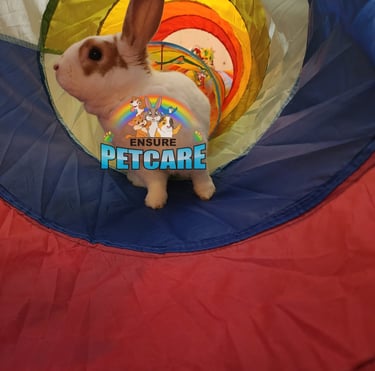 Ensure pet care  pet sitter bonded and insured in Aspen Hill, MD