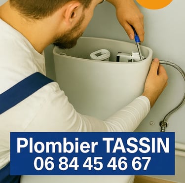 plombier tassin remplacement chasse wc toilette robinet tassin la demi lune 69160