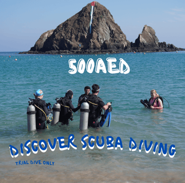snoopy island try dive. disocver scuba diving with sandy beach dive academy