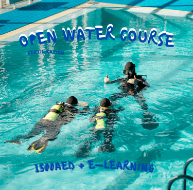 padi open water course  with sandy beach dive academy/ sandy beach dive centre
