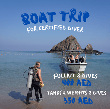 Explore top-rated  boat trips in Fujairah, Scuba Dive in Fujairah with Sandy Beach Dive Academy