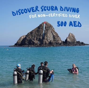 try dive at Snoopy Island with Sandy Beach Dive Academy