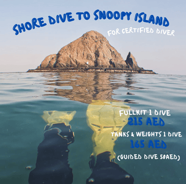 Shore dive at Snoopy Island , scuba dive with Sandy Beach Dive Academy