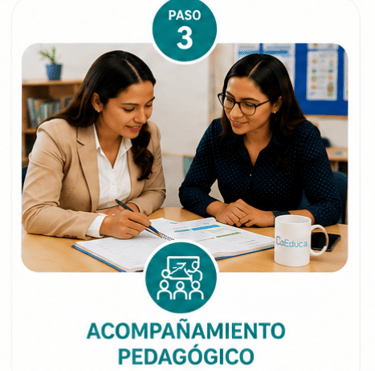 Acompañamiento Pedagógico