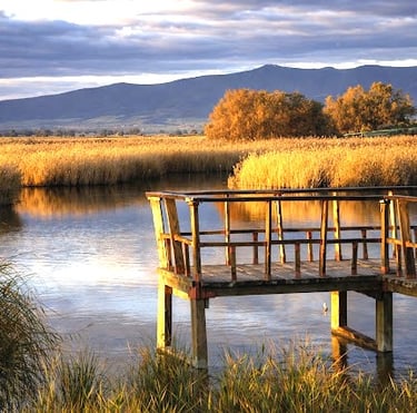 visita guiada tablas de daimiel
