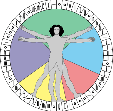 La Creación en Base Doce