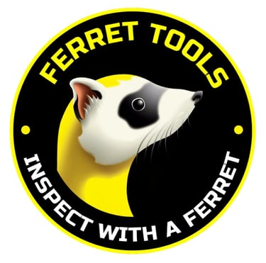 Ferret inspection camera used to inspect the guttering