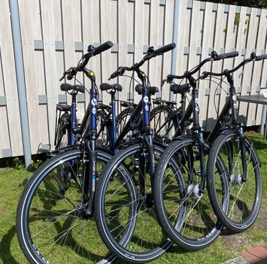 Fahrrad und E-Bikes mieten – Fahrradverleih Langeoog Dirks