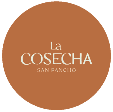 la cosecha san pancho
