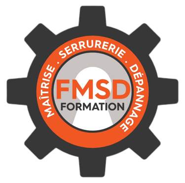 the logo for the fmsdd foundation