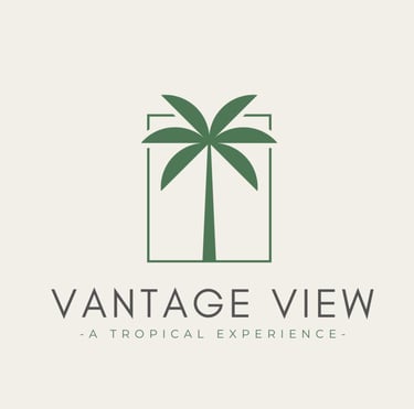 A logo featuring a green palm tree enclosed within a rectangular frame. Below the palm tree, bold text reads 'VANTAGE VIEW,'