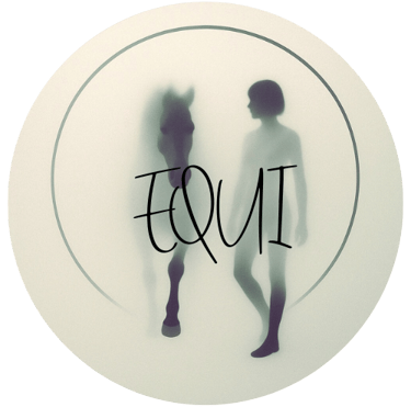silhouette of a horse and a person side by side
