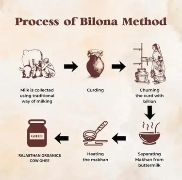 Infographic showing the traditional Bilona method process for making organic A2 cow ghee.