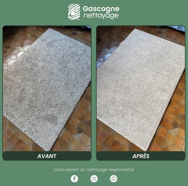 Gascogne Nettoyage | Nettoyage tapis Gironde