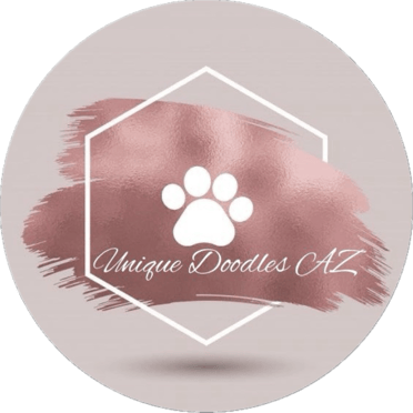 Unique Doodles AZ