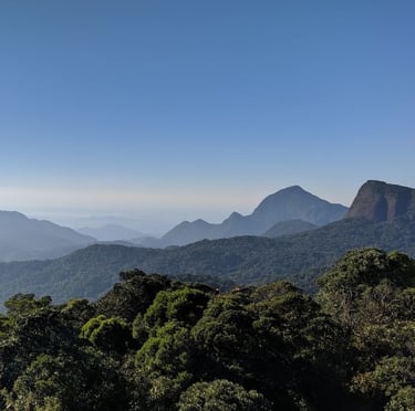 Atlantic Forest ecoregions of Brazil