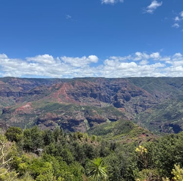Waimea canyon hiking trail kauai