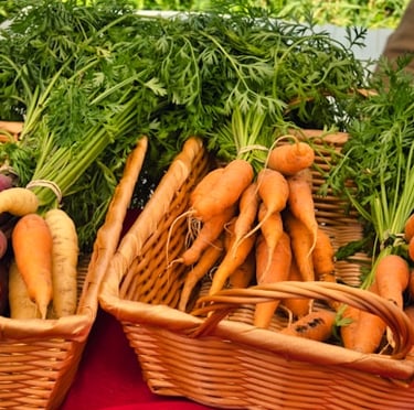 multiple carrots that have been grown in containers