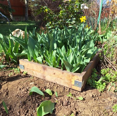 an interesting wood border layout