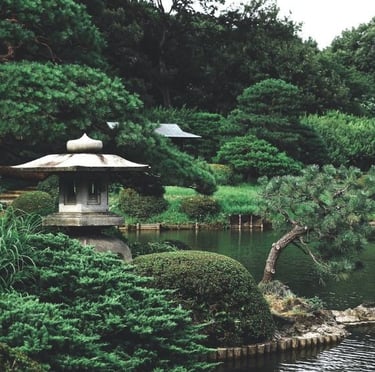 a Japanese garden with low maintenance plants