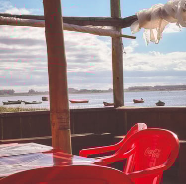 Apalco next to Laguna Rocha in Uruguay