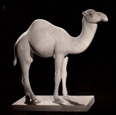 Armand Petersen - Jeune Dromadaire