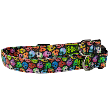 A Dog collar with brightly colored sugar skulls