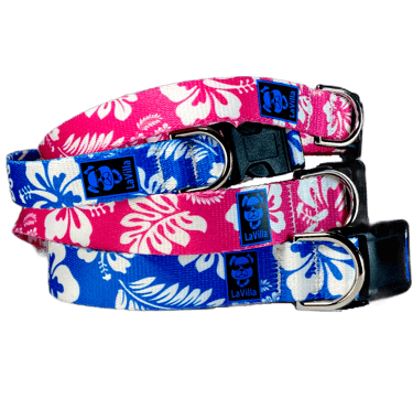 Blue and pink dog collars with a hawaiian pattern